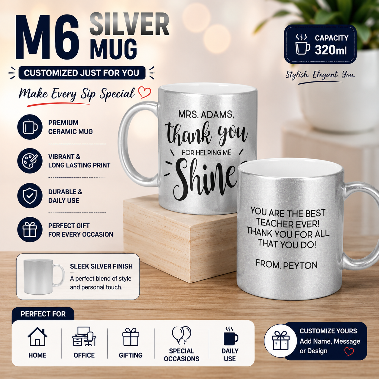 M6 Silver Mug